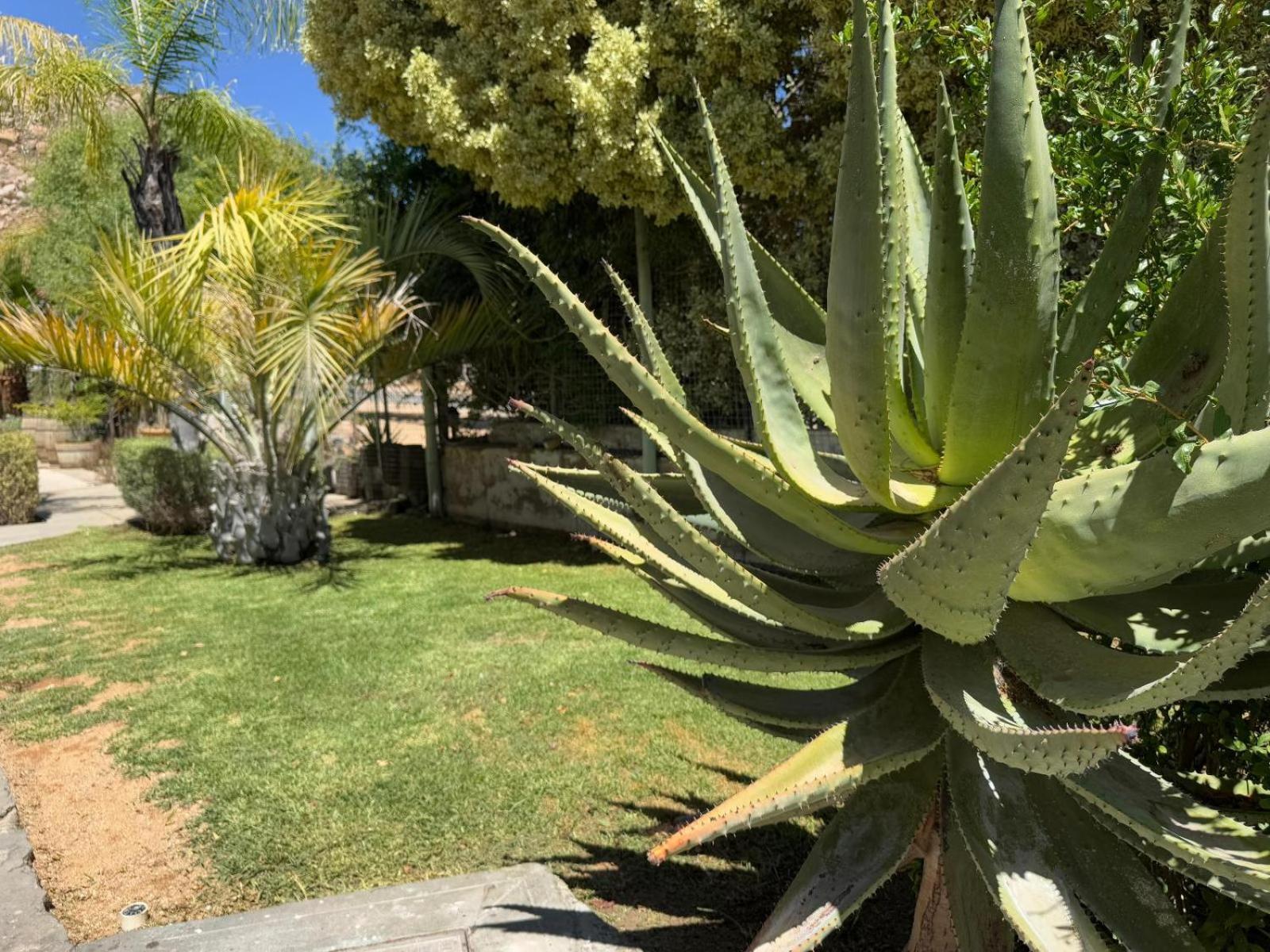 Herb Garden Restaurant & Rooms Springbok Exterior photo